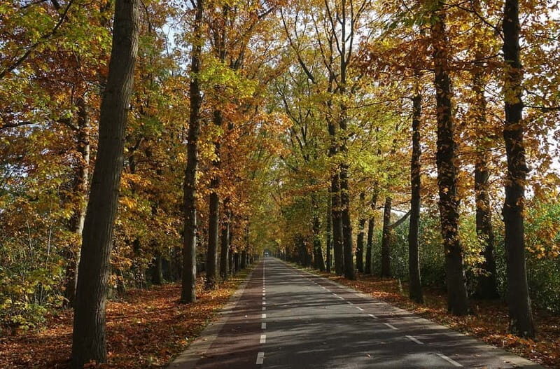 Private Tour Veluwe National Park and Kröller Müller Museum - Exploring the Veluwe National Park