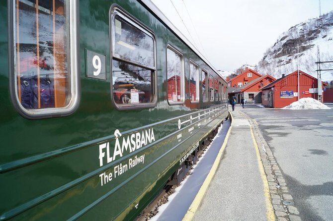 Private tour - Viking Village, Nærøyfjord Cruise and Flåm Railway - Key Points