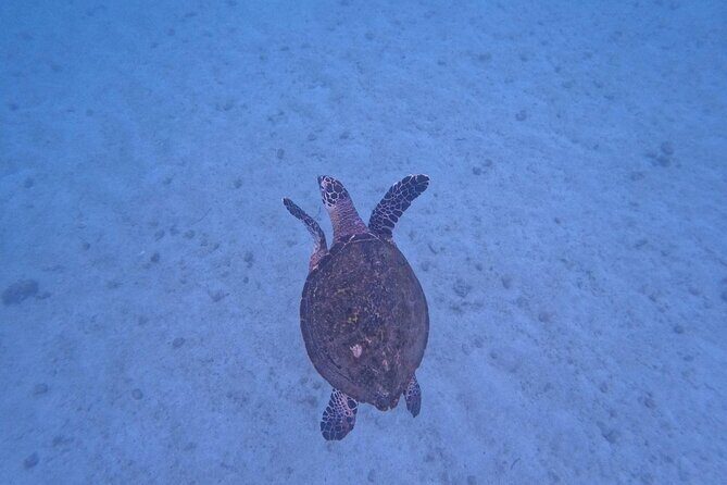 Private Tour Visit the National Park ''The Arches of Mismaloya'' - FAQ