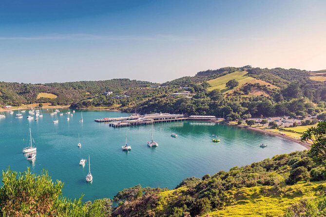 Private Tour - Waiheke Island Luxury Experience - An Elegant Escape to Waiheke Island: A Private Luxury Experience
