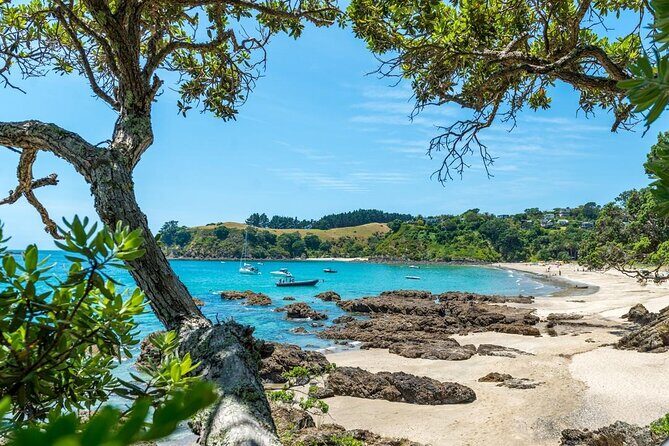 Private Tour - Waiheke Island Luxury Experience - A Few Considerations