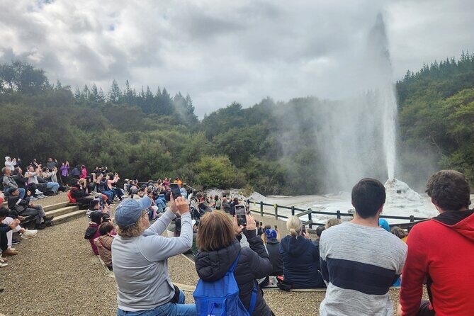 Private Tour WaiOtapu & Huka Falls & Blue springs from Auckland - Transportation and Comfort