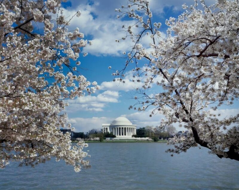 PRIVATE TOUR Washington DC: Private Tour with Luxury SUV 6h - Who Will Love This Tour?