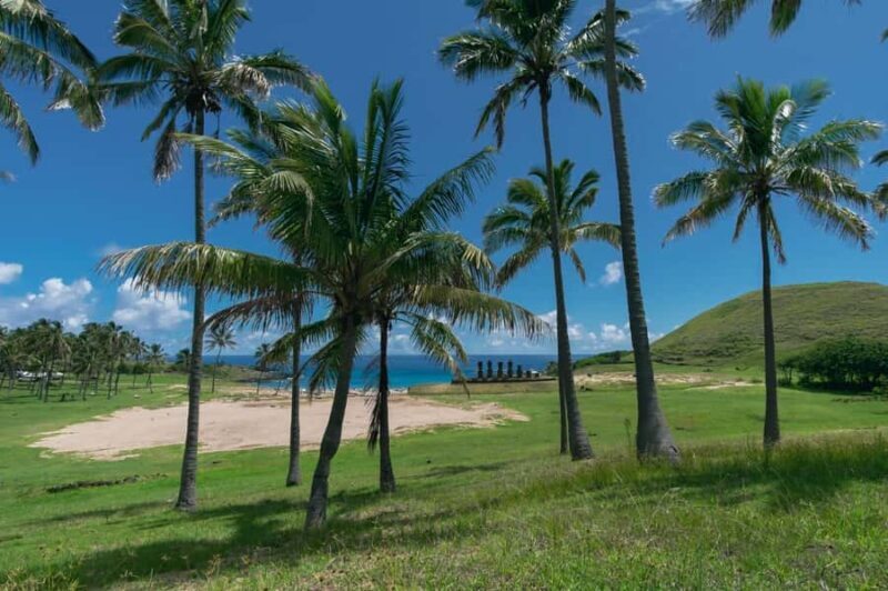 Private tour: where the history of the Moai was born - Key Points