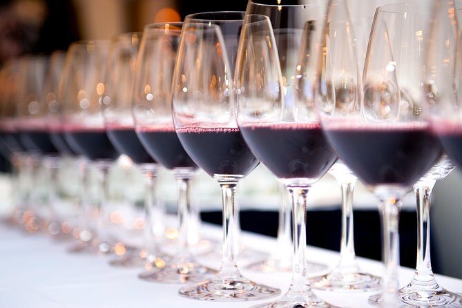 Private Tour Wine (region Évora) Wine Tasting - An In-Depth Look at the Experience