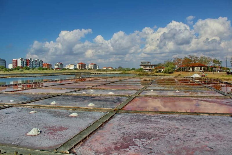 Private Tour: Wine Tasting Tour, Mud Baths, History & more - A Deep Dive into the Tour Experience