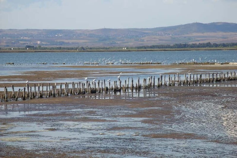 Private Tour: Wine Tasting Tour, Mud Baths, History & more - Possible Drawbacks or Considerations