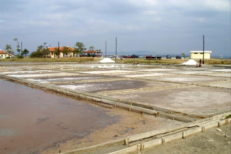 Private Tour: Wine Tasting Tour, Mud Baths, History & more - Who Is This Tour Best For?