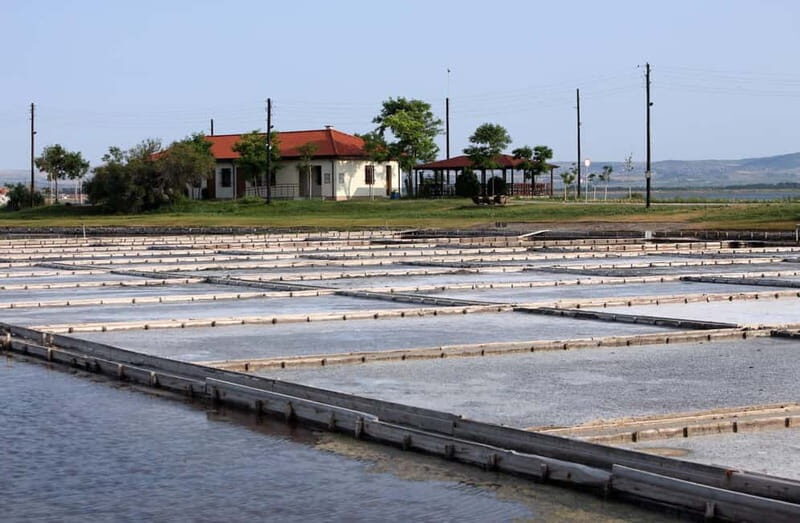 Private Tour: Wine Tasting Tour, Mud Baths, History & more - Final Thoughts