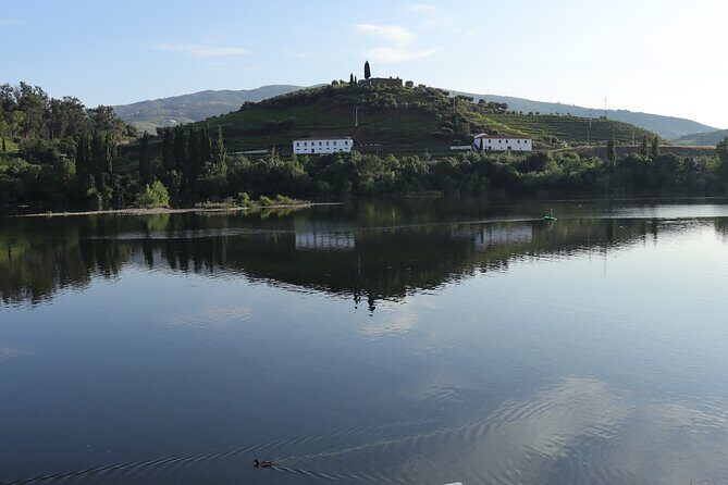 Private tour with 3 wineries and viewpoint - A Deep Dive into the Douro Valley Private Tour