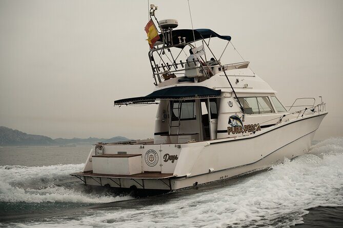 Private Tour with Dolphin Watching in Algeciras Bay - Key Points