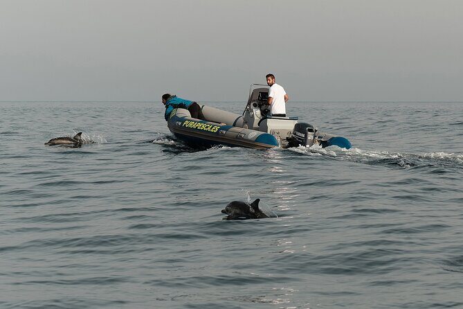 Private Tour with Dolphin Watching in Algeciras Bay - FAQs