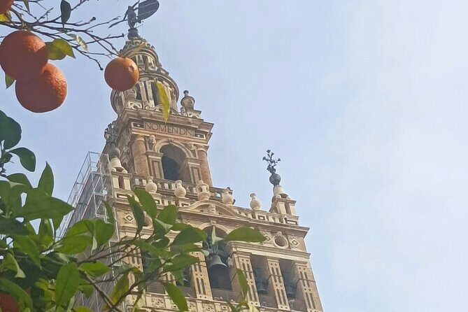 Private Tour with Local Guide to know the Seville Essential - A Closer Look at the Seville Private Tour