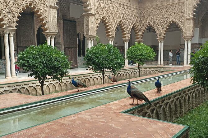 Private Tour with Local Guide to know the Seville Essential - Authentic Insights and Traveler Feedback