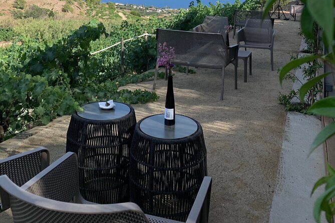 Private Tour with Navigation and Visit to Alella Vineyards - Who Should Consider This Tour?