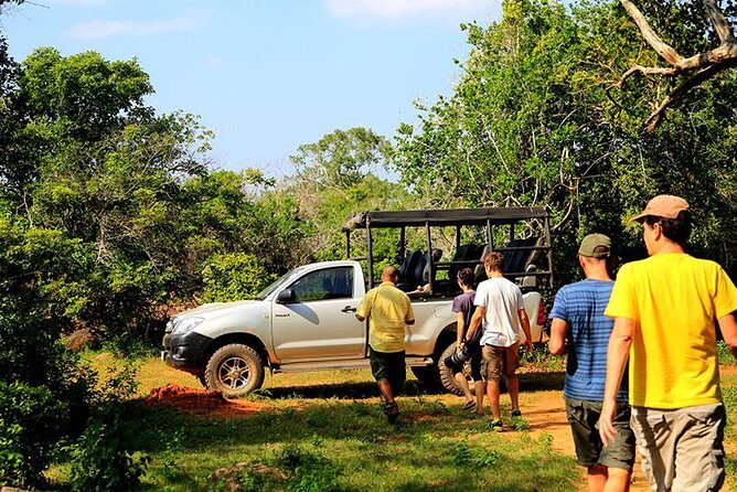 Private Tour: Yala National Park Safari - Diving Into the Details of Your Yala Safari
