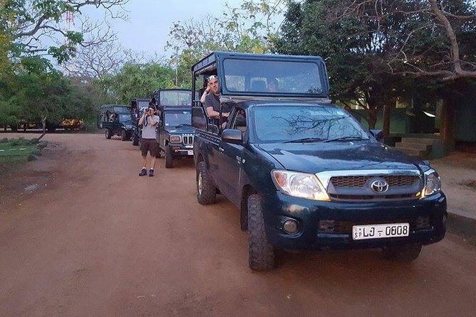 Private Tour : YALA National Park with Experienced Driver and Guide - Exploring Yala National Park with a Private Guide