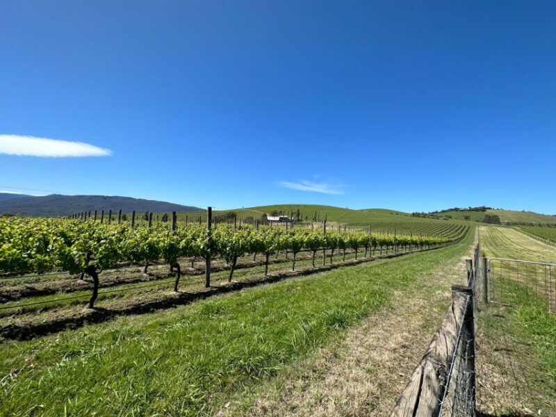 Private Tour: Yarra Valley Wine, Cheese, Gin & Chocolatrie - Itinerary Breakdown: What to Expect at Each Stop