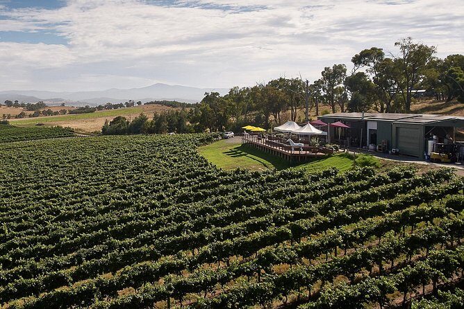 Private Tour: Yarra Valley Wineries with Wine Tastings - Who Should Consider This Tour?