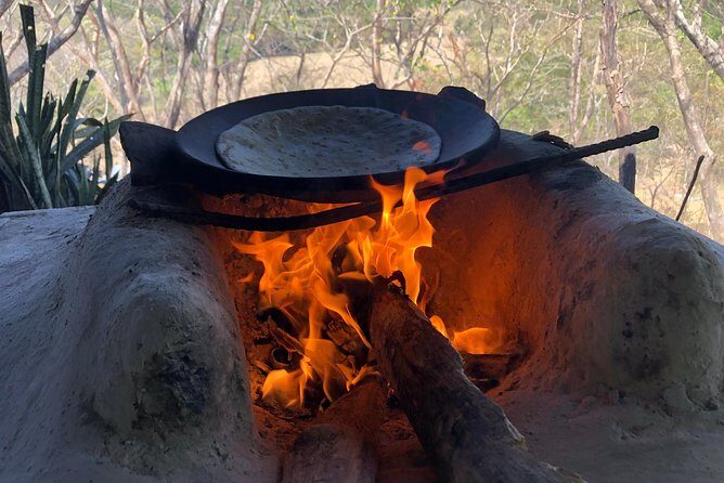 Private tours and transfer Costa Rica - Practical Details: What to Expect