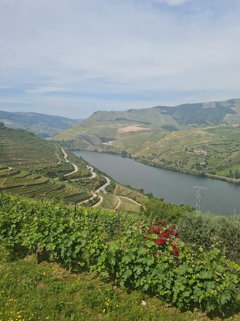Private tours and transport amazing for you at DOURO Valley - Who is This Tour Best For?