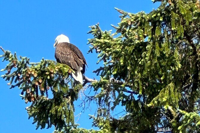 Private Tours for ease, comfort, flexibility, and relaxed pace! - The Experience from the Guides Perspective