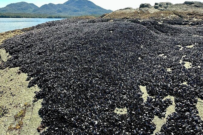 Private Tours for ease, comfort, flexibility, and relaxed pace! - What Travelers Say