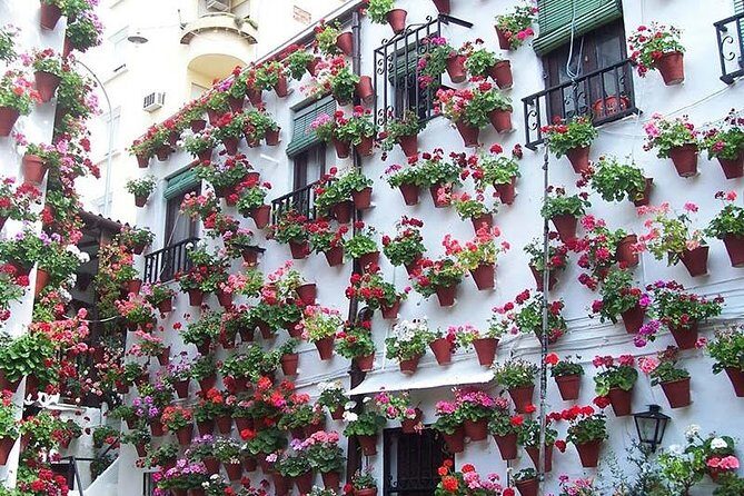 Private tours from Malaga to Cordoba and the Mezquita for up to 8 persons - Exploring the Charm of Cordoba on a Private Day Trip