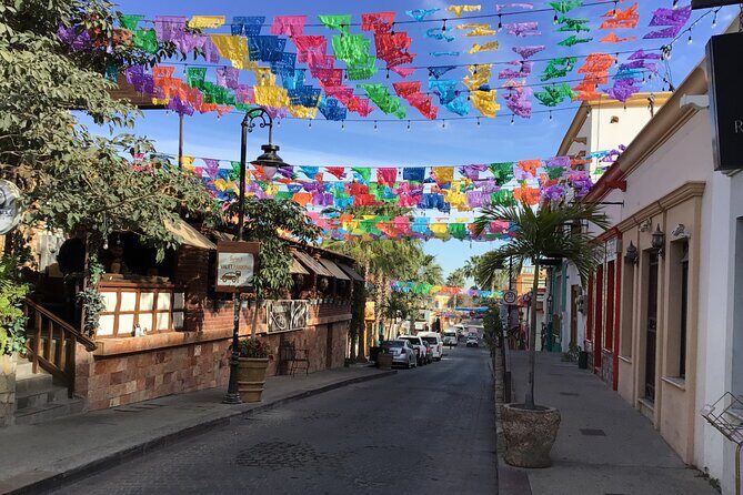 Private transfer at VAN Airport Los Cabos - San Jose del Cabo - Final Thoughts