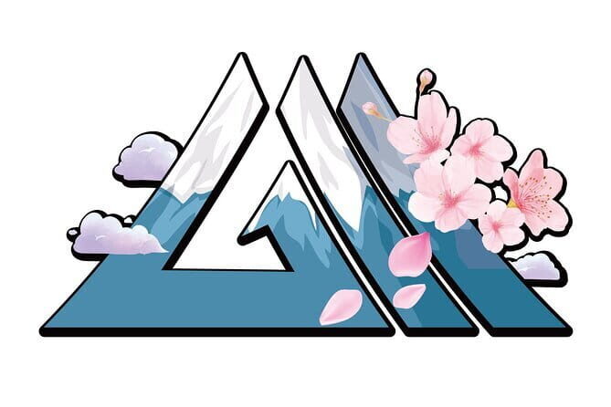 Private Transfer between KIX Airport and Osaka City - Detailed Review of the Private Transfer Service