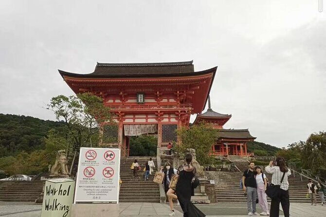 Private Transfer Between Kyoto and Kansai Airport KIX - What Makes This Transfer Stand Out?