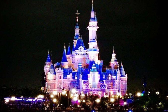 Private Transfer between Shanghai Disneyland and City Hotel - Who Should Consider This Transfer?