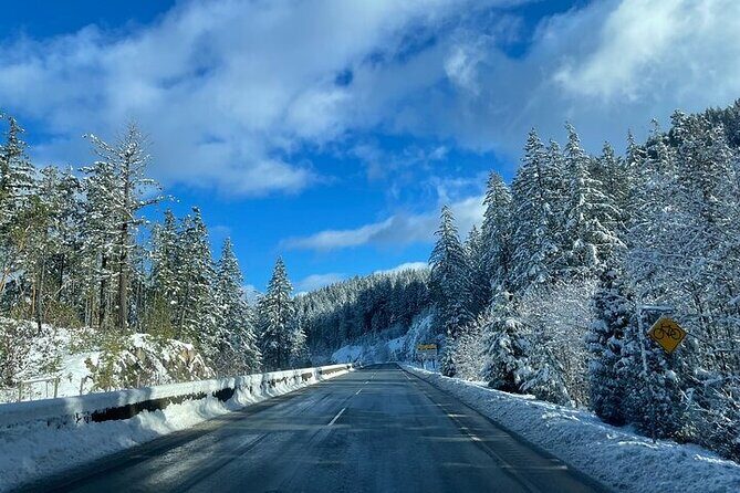 Private Transfer Between Vancouver Airport and Vancouver Cruise - How This Transfer Stands Out