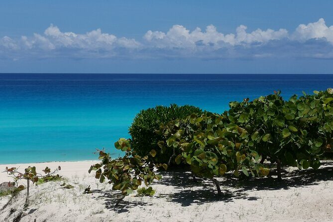 Private Transfer-Cancun Airport-Playa del Carmen One Way - Why This Transfer Adds Value to Your Trip