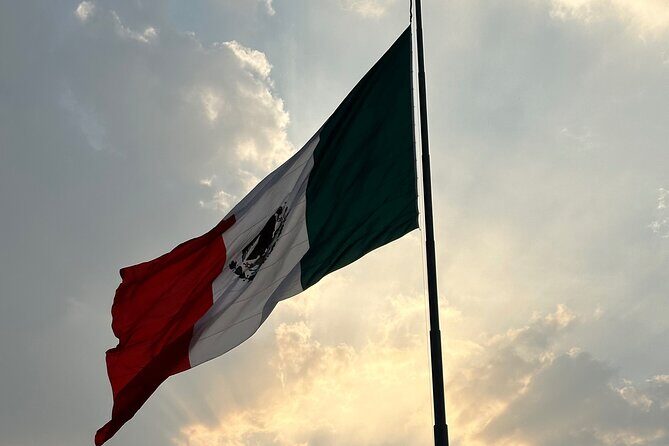 Private transfer from AICM Airport in CDMX to CDMX Hotels - In-Depth Look at the Experience