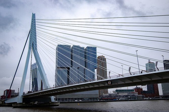 Private Transfer from Amsterdam city center to Rotterdam - What to Expect During Your Transfer