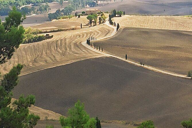 PRIVATE TRANSFER: from Assisi to Florence with stops in Cortona & Montepulciano - Final Thoughts