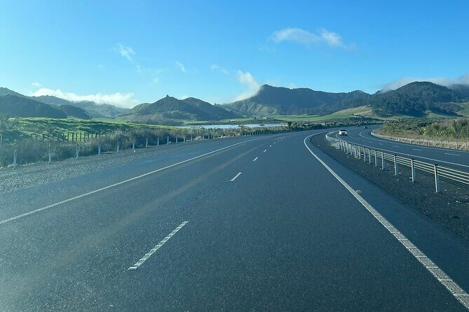 Private Transfer From Auckland Airport To Hamilton - Final Thoughts: Is It Worth It?
