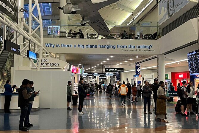 Private Transfer From Auckland Airport To Rotorua - What to Expect on Your Journey