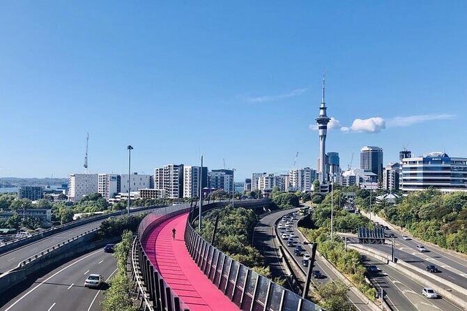 Private Transfer From Auckland International Airport To Auckland City - A detailed look at the Auckland airport transfer experience