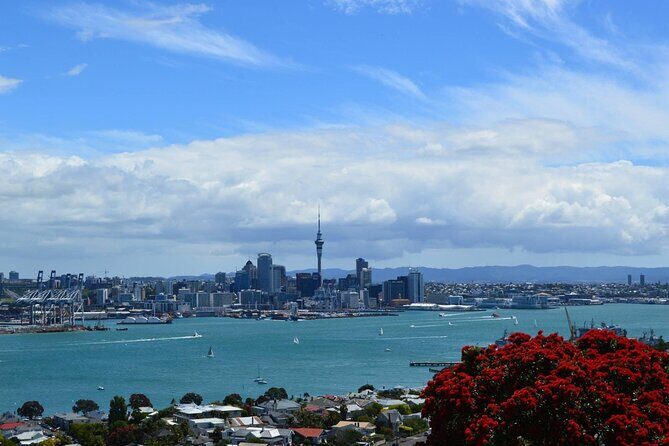 Private Transfer From Auckland International Airport To Auckland City - Frequently Asked Questions