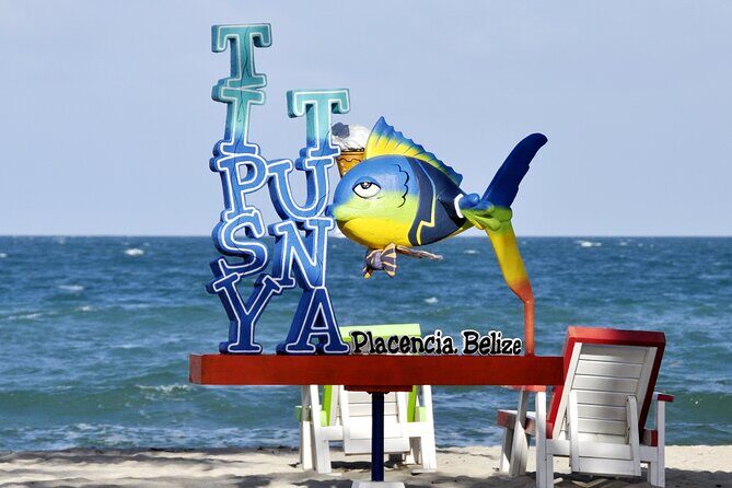 Private Transfer from Belize City and Airport to Placencia - An In-Depth Look at the Transfer Experience