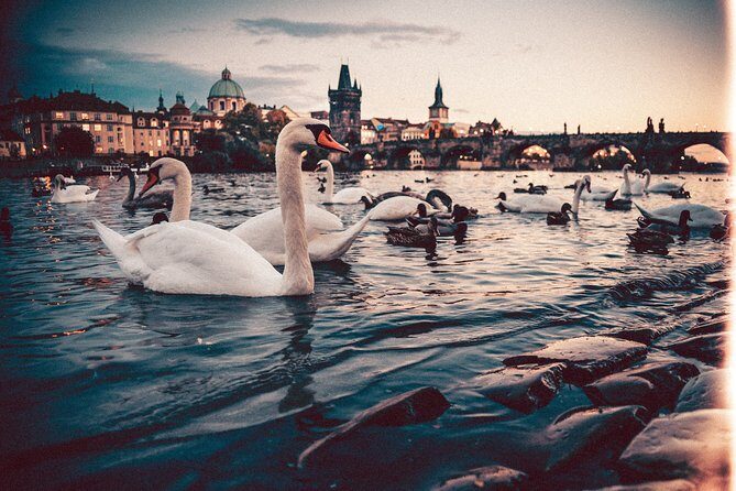 Private Transfer from Berlin to Prague with 2h of Sightseeing - The Sum Up