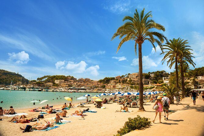 Private Transfer from Can Picafort to Mallorca airport (PMI) - A Deep Dive into the Mallorca Private Transfer Experience