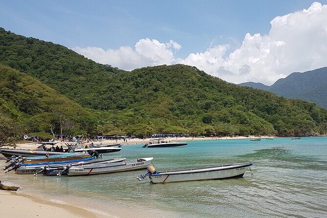 Private transfer from Cartagena to Santa Marta or viceversa - Key Points