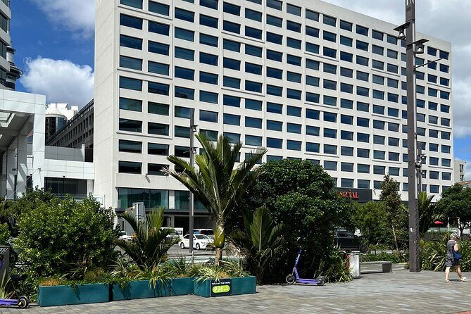 Private Transfer From Cruise Ships To Auckland CBD Hotels - A Closer Look at the Details