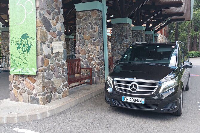 Private transfer from DisneyLand Paris to CDG or ORY airport - Who is This Transfer Service Best For?