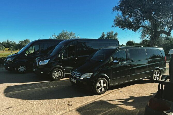 Private Transfer from Faro Airport to Pine Cliffs Hotel (4-8 pax) - The Practicality of Private Transfers from Faro Airport