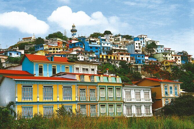 Private Transfer from Guayaquil to Cuenca - The Vehicle and Service Quality