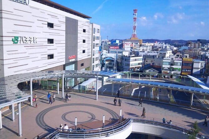 Private Transfer from Haneda Airport to Hachik City, Japan - Who Should Consider This Service?